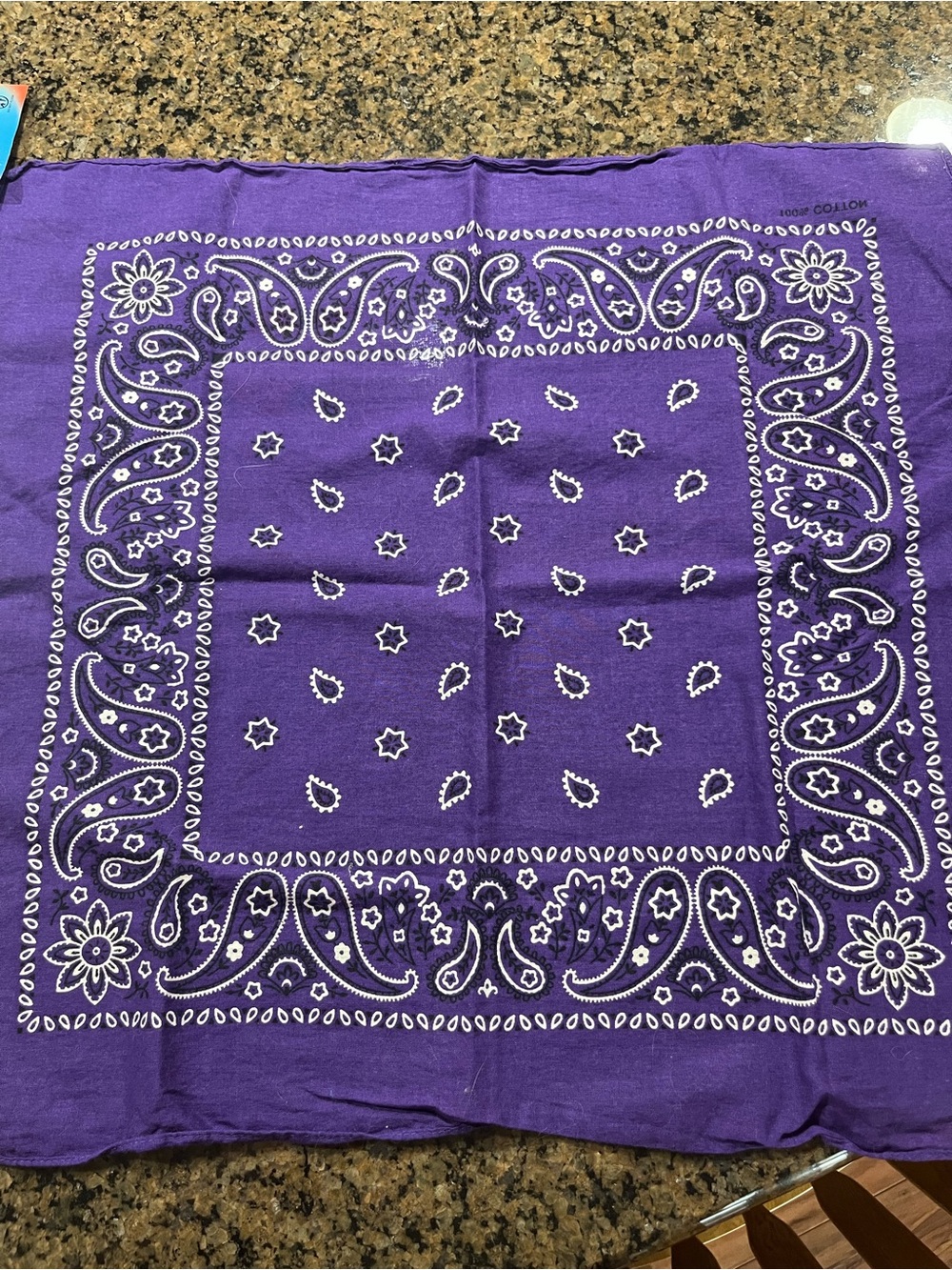 Purple Paisley Cotton Bandana - Unbranded